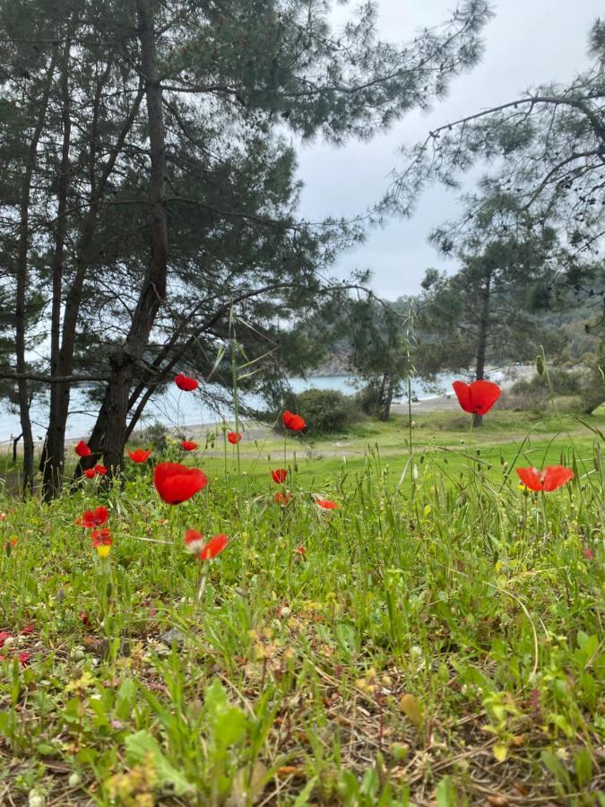 Inlice Uenzile Bungalow Inlice Kamp Φετιγιέ Εξωτερικό φωτογραφία