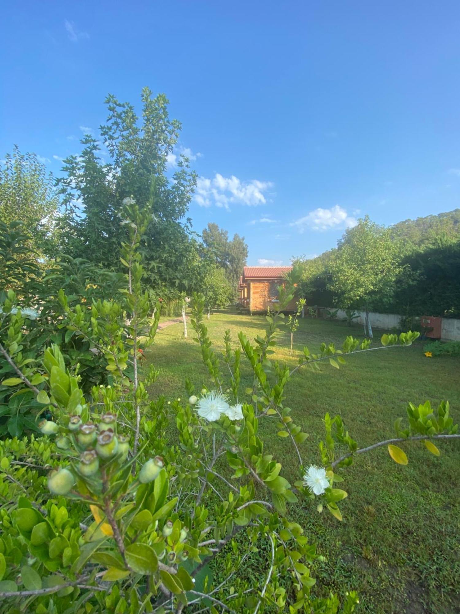 Inlice Uenzile Bungalow Inlice Kamp Φετιγιέ Εξωτερικό φωτογραφία